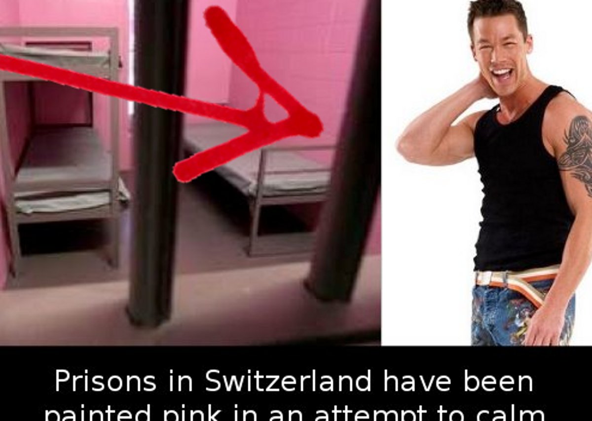 Did you know that in Switzerland they paint the prisons pink in order to…
