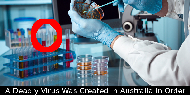 shutterstock_142053856