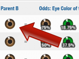 Do you want to know your baby’s eyes color? Check this out!